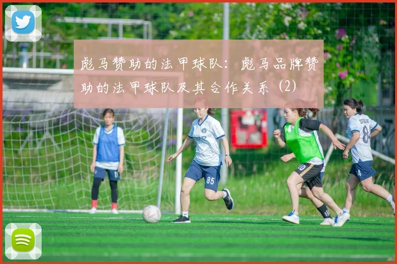 彪马赞助的法甲球队：彪马品牌赞助的法甲球队及其合作关系 (2)