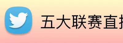 五大联赛直播 logo